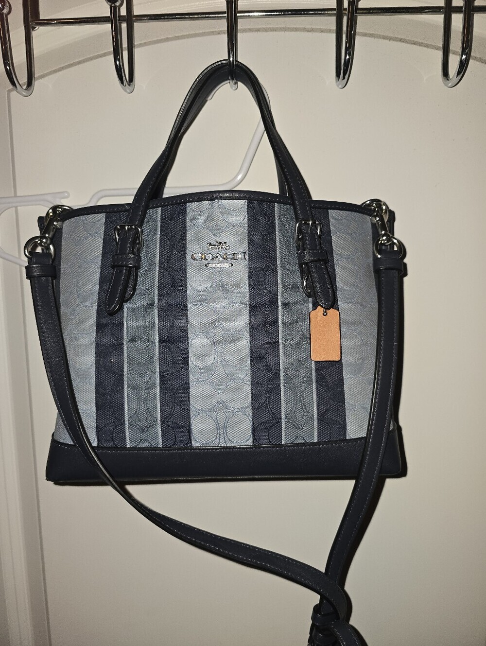 Coach Mollie Tote 25
